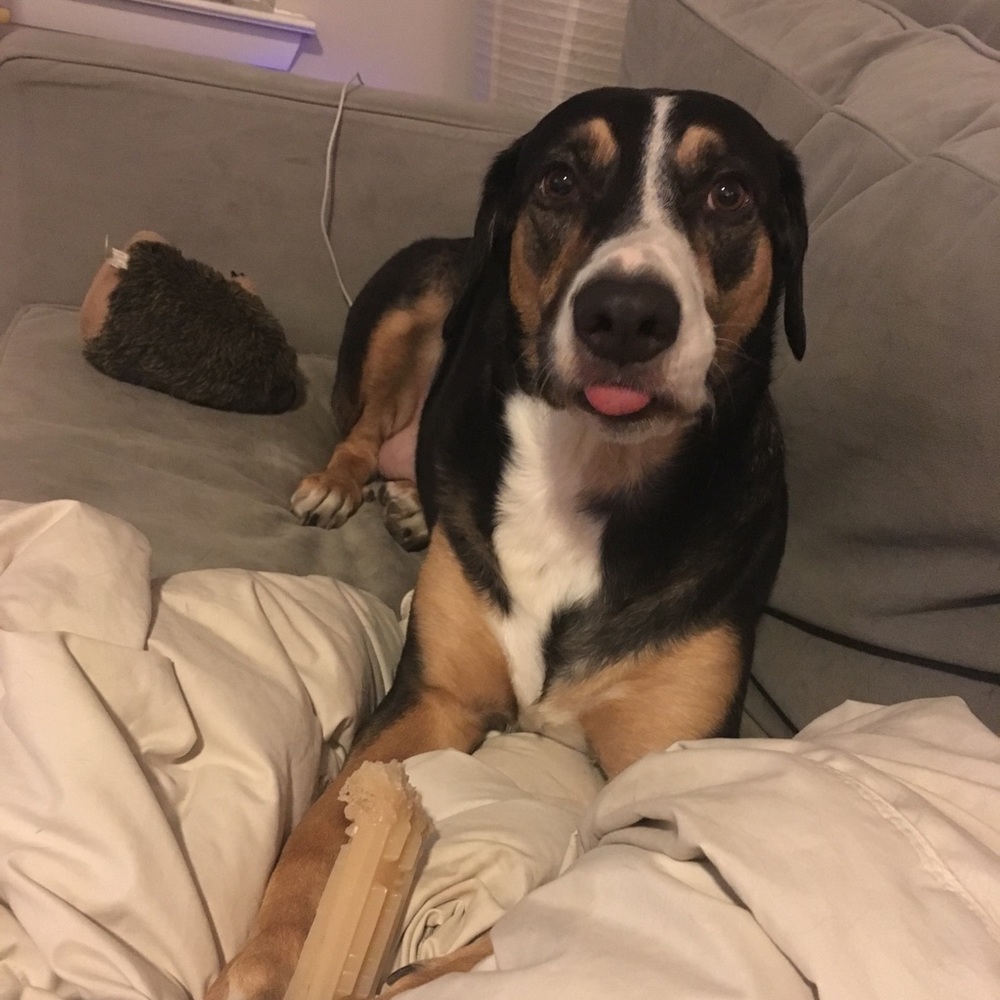 Meet your Posher, Emily